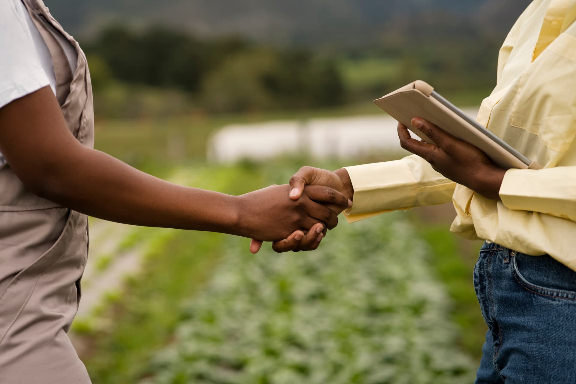 Rural Farmers Partnership